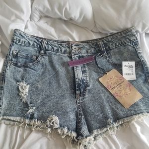 Charlotte Russe High Waisted Shorts
